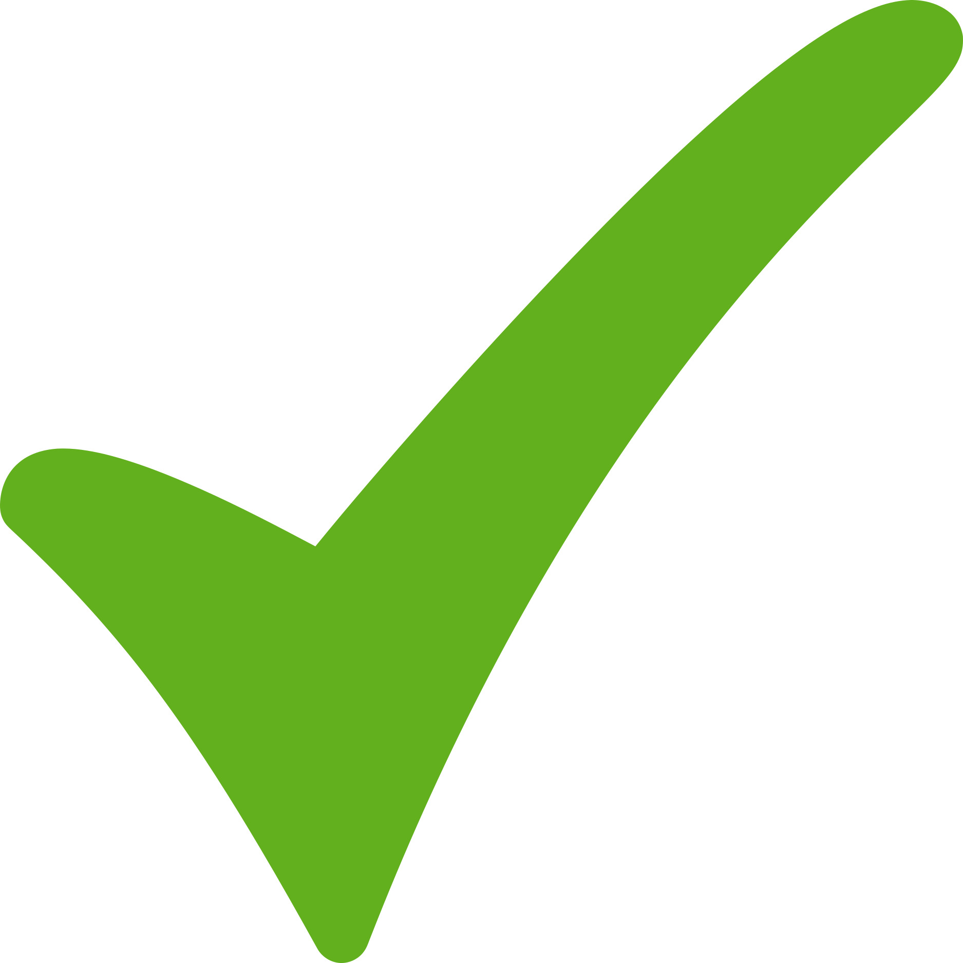 Green tick icon